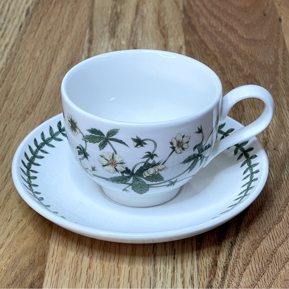 Portmeirion Botanic Garden Teacup/Saucer